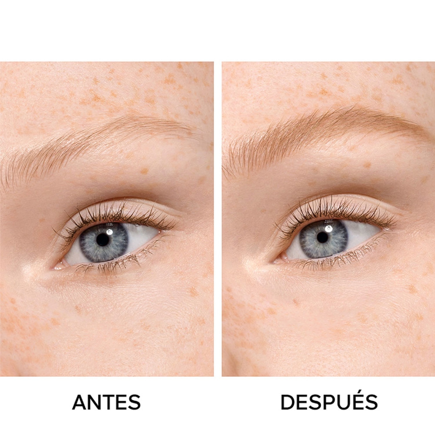 BEE BEAUTY SECRET BROW G (LÁPIZ PARA CEJAS ALTA PRECISIÓN Y LARGA DURACIÓN)